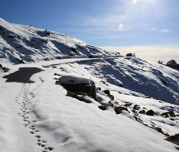 chopta-tour-with-auli-2023