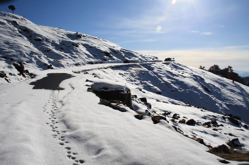 chopta-tour-with-auli-2023