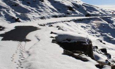 chopta-tour-with-auli-2023-chopta-mussoorie