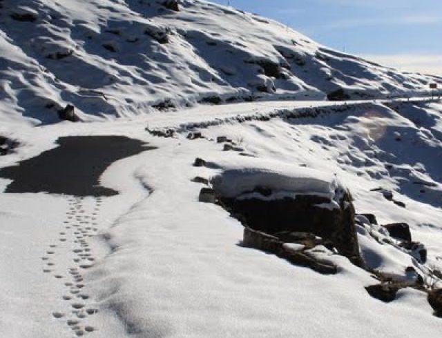 chopta-tour-with-auli-2023-chopta-mussoorie