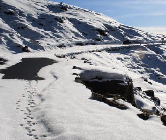 chopta-tour-with-auli-2023-chopta-mussoorie