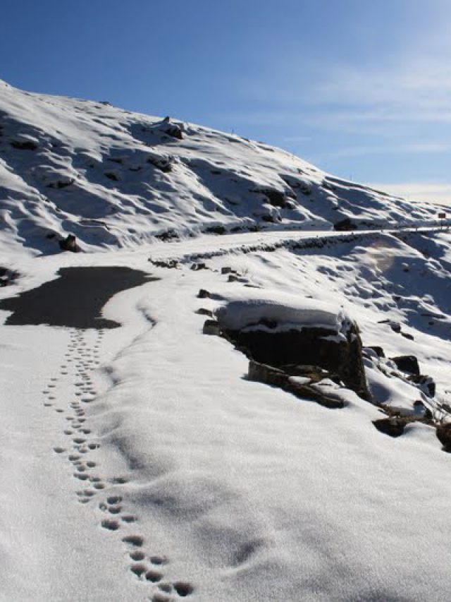 chopta-tour-with-auli-2023-chopta-mussoorie