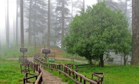 dhanaulti-uttarakhand