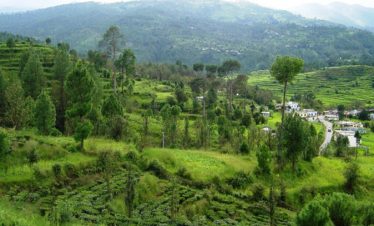 gwaldam-travel-guide