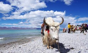 leh-places-to-visit-gokeys