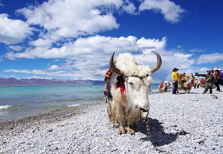 leh-places-to-visit-gokeys