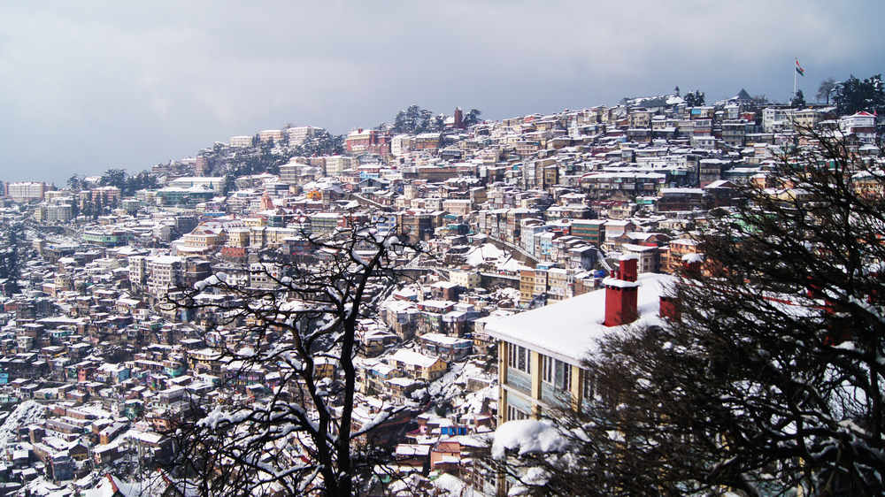 shimla-market