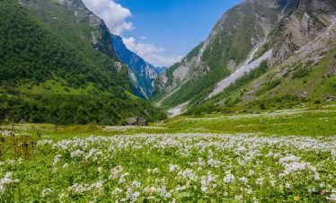valley-of-flower-national-park