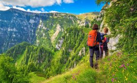 valley-of-flowers-trips