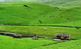 Bedni-Bugyal-Himalayas-chamoli-garhwal