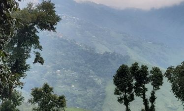 darjeeling-view