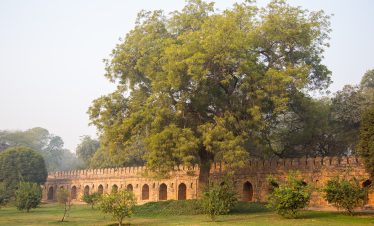 agra-tajmahal-sightseeing