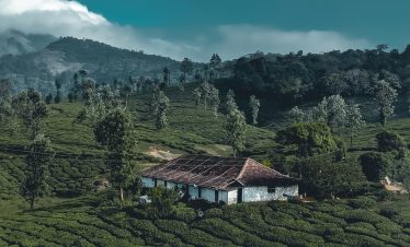 kerala-tour-packages-gokeys