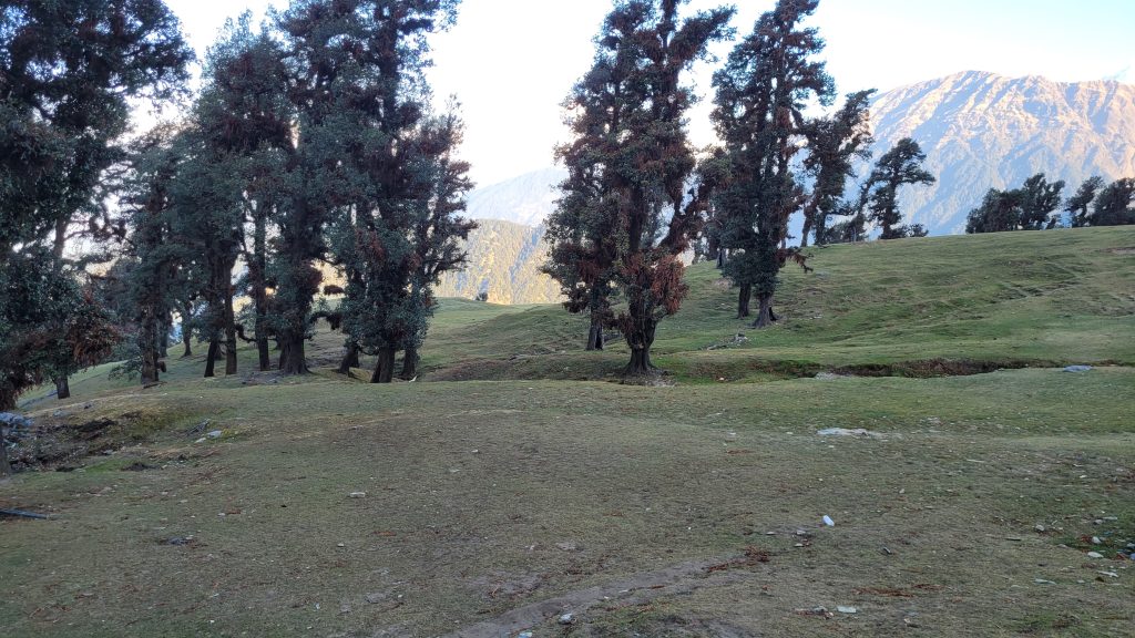 chopta-valley